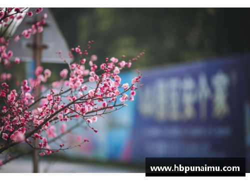 西梅悠然开花，繁星灿如银河，闪耀四季彩虹，向世界传颂春天之歌！